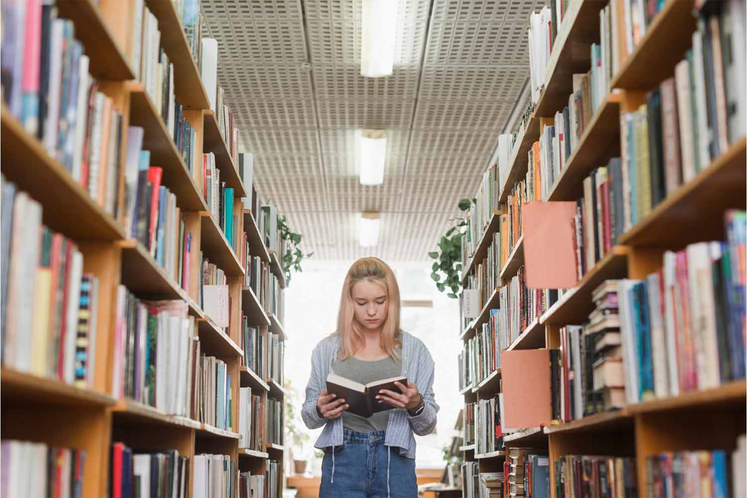 Bookshelf